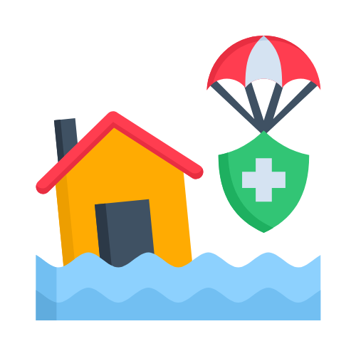 Disaster Relief